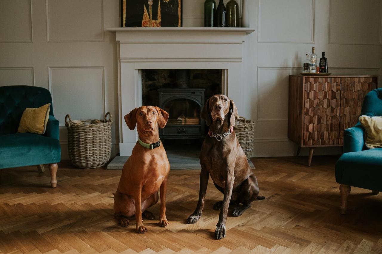 Dacre House, Gilsland Bed & Breakfast ภายนอก รูปภาพ